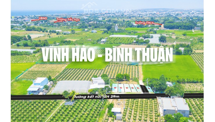 Chỉ với 800 triệu/nền sở hữu ngay lô đất nền biển Vĩnh Hảo - Phan Thiết full thổ 100% đường QH 29m